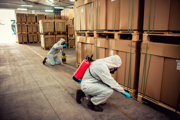 Best Best Pest Control Companies  in Lapeer, MI