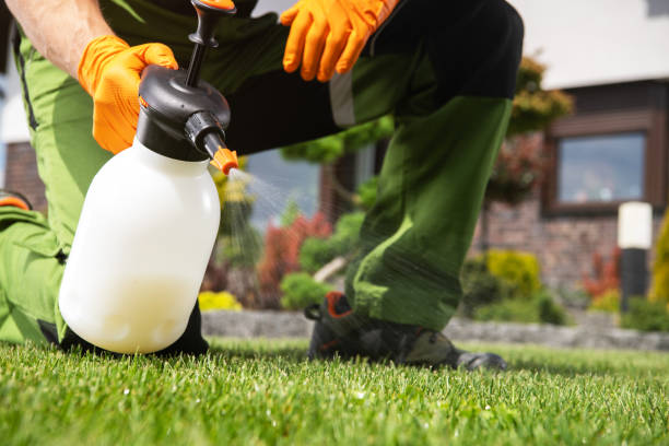 Best Pest Control Near Me in Lapeer, MI