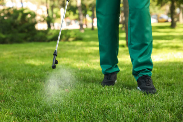 Best Pest Control for Restaurants  in Lapeer, MI