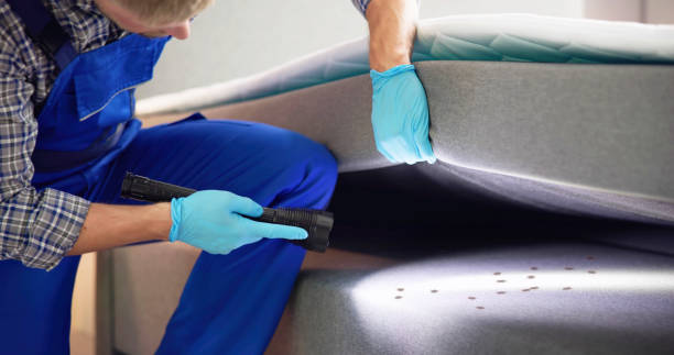 Best Termite Control Services  in Lapeer, MI