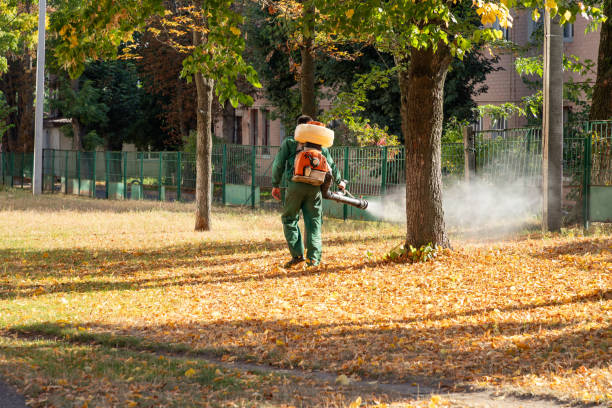 Wildlife Control Services in Lapeer, MI