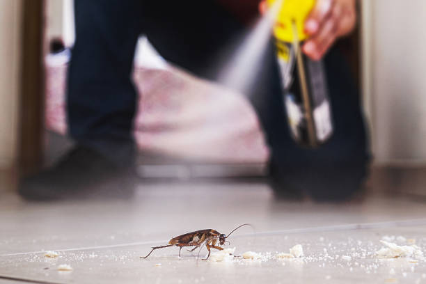 Best Pest Prevention Services  in Lapeer, MI