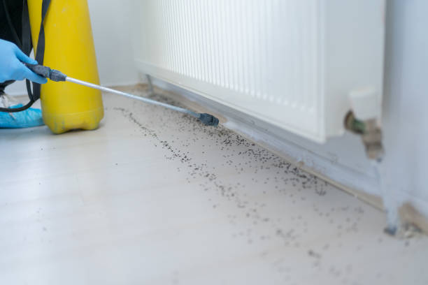 Best Pest Control Near Me  in Lapeer, MI