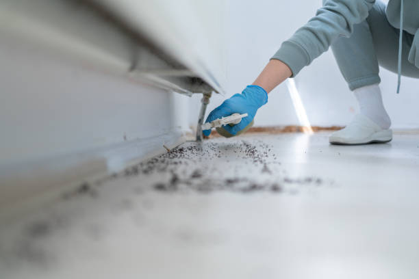 Best Emergency Pest Control  in Lapeer, MI