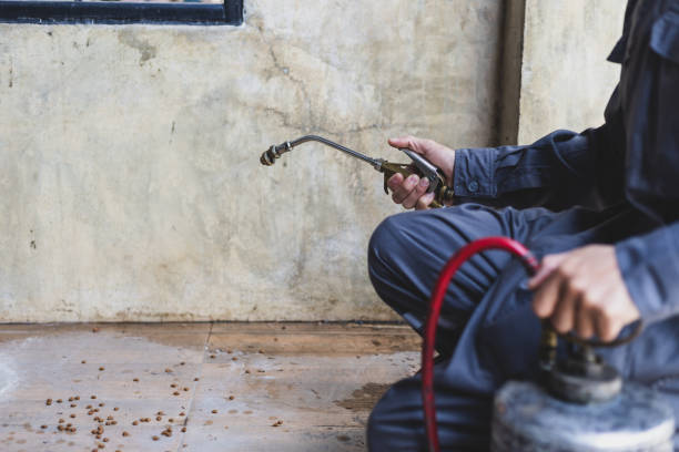 Best Wasp Removal Services  in Lapeer, MI