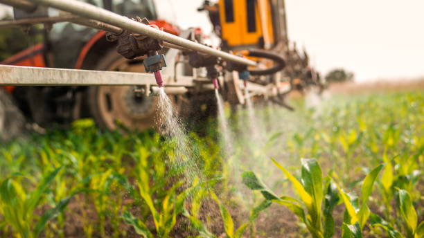 Best Mosquito Control Services  in Lapeer, MI